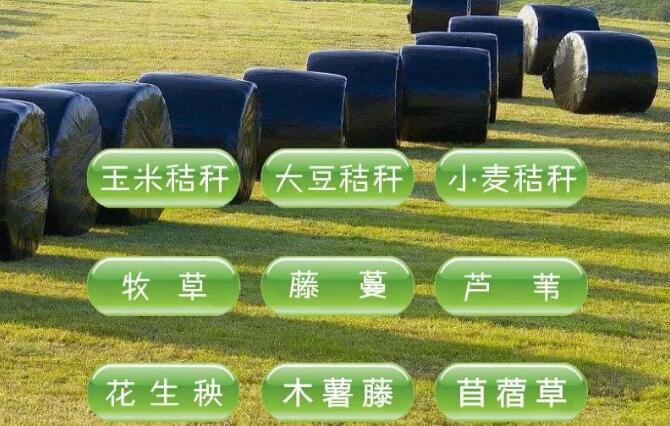 微生物发酵粗饲料在反刍动物生产中的应用研究进展-微生物发酵粗饲料，反刍动物生产